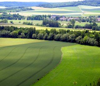 Le changement climatique nous impose de repenser nos pratiques agricoles. L'appel à projet "Pacte en faveur de la haie 2024" offre une opportunité unique pour les exploitants agricoles de s'engager dans des initiatives écologiques durables.