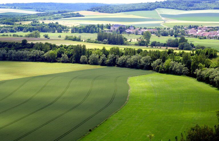 Le changement climatique nous impose de repenser nos pratiques agricoles. L'appel à projet "Pacte en faveur de la haie 2024" offre une opportunité unique pour les exploitants agricoles de s'engager dans des initiatives écologiques durables.