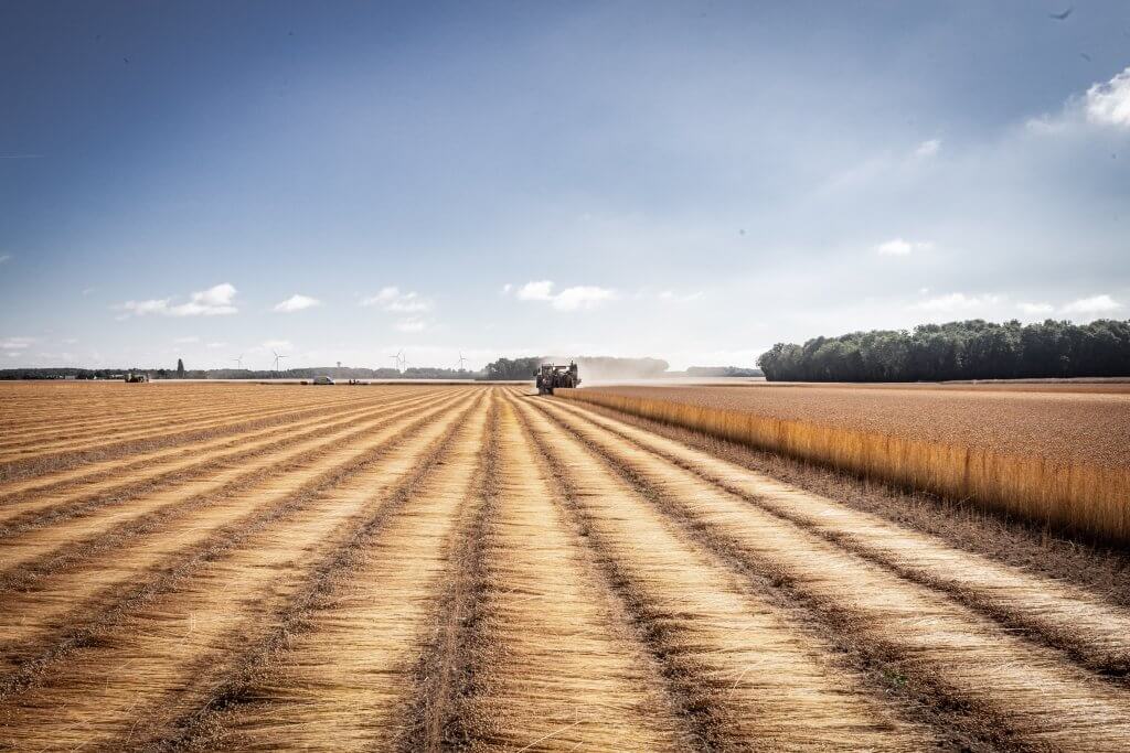 AdobeStock 465059619 1