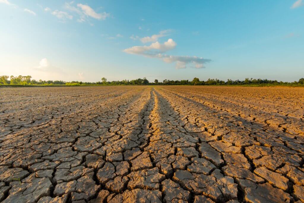fonds de réarmement agricole 2026 dans le Nord-Pas-de-Calais dû à la sécheresse de 2026