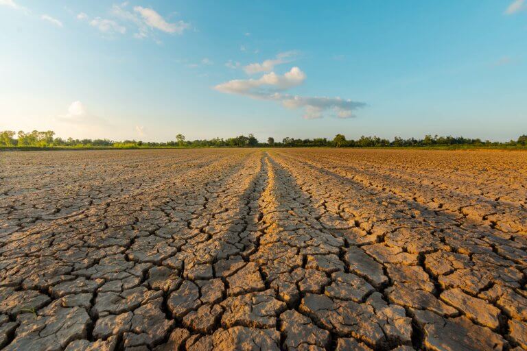 fonds de réarmement agricole 2026 dans le Nord-Pas-de-Calais dû à la sécheresse de 2026